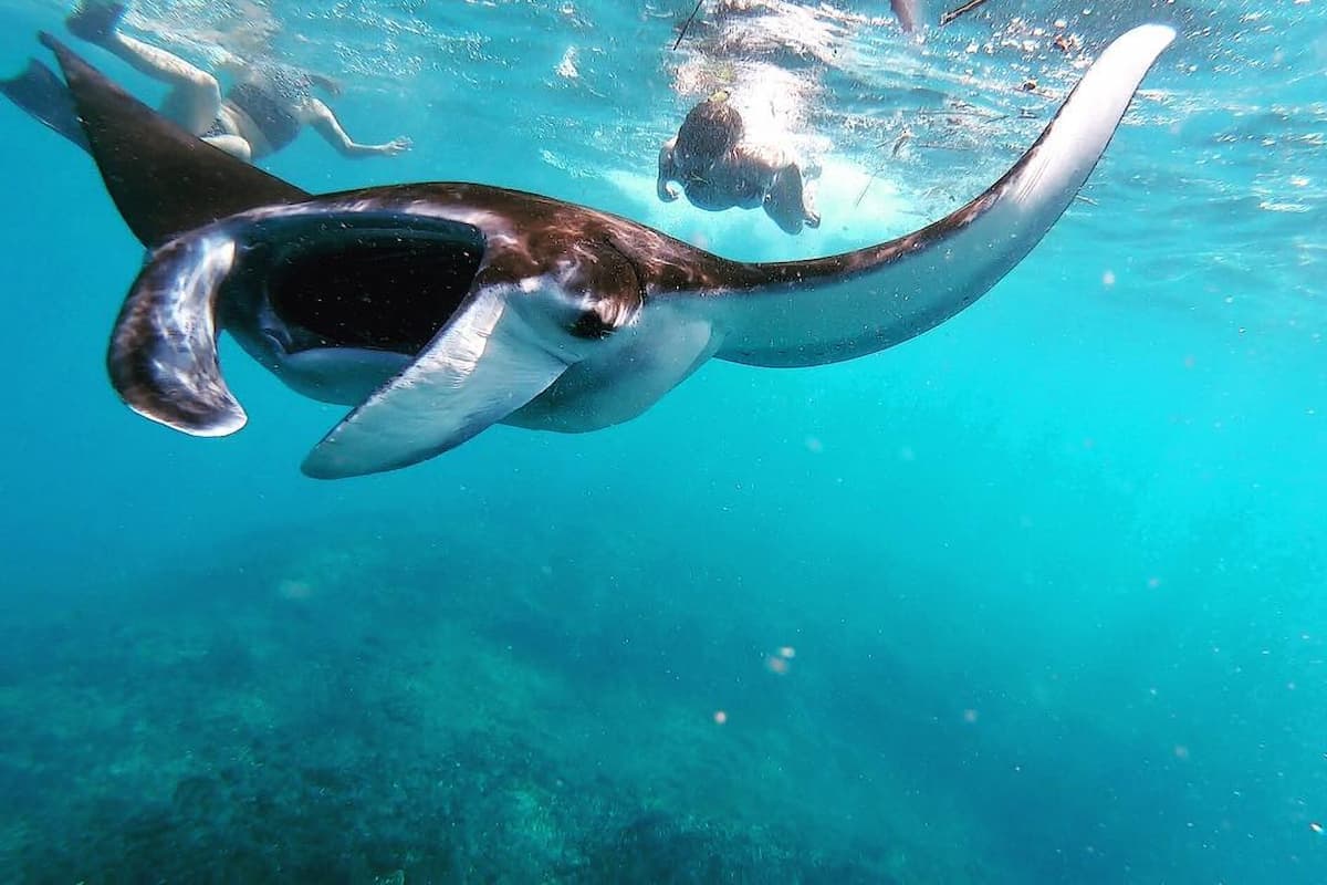 Snorkeling Trip 4 Spots