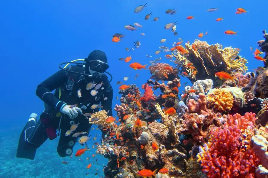 Snorkeling Trip 4 Spots