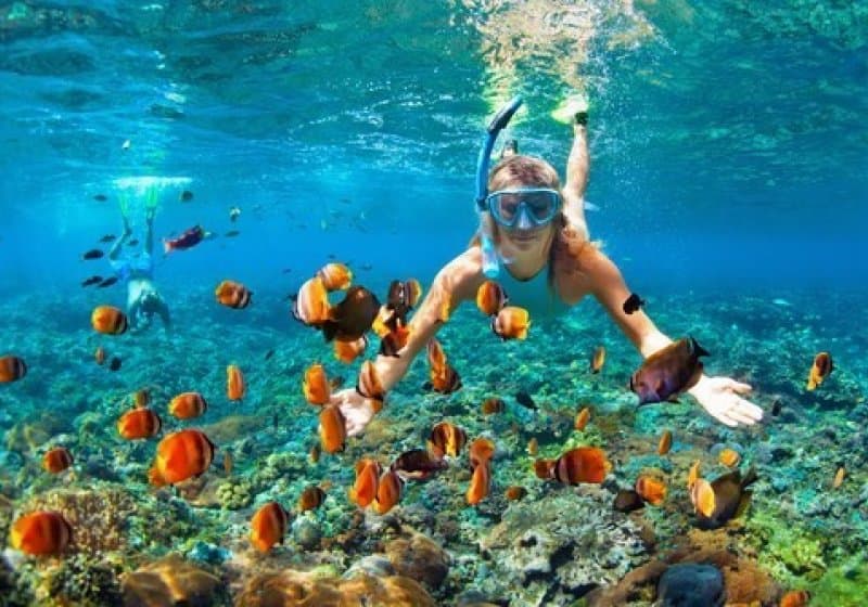 Snorkeling Trip 4 Spots